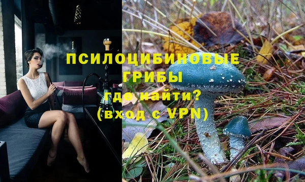 марки nbome Ладушкин