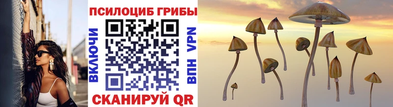 Псилоцибиновые грибы Cubensis Чебаркуль