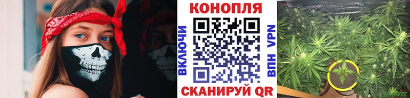МАРИХУАНА семена Чебаркуль